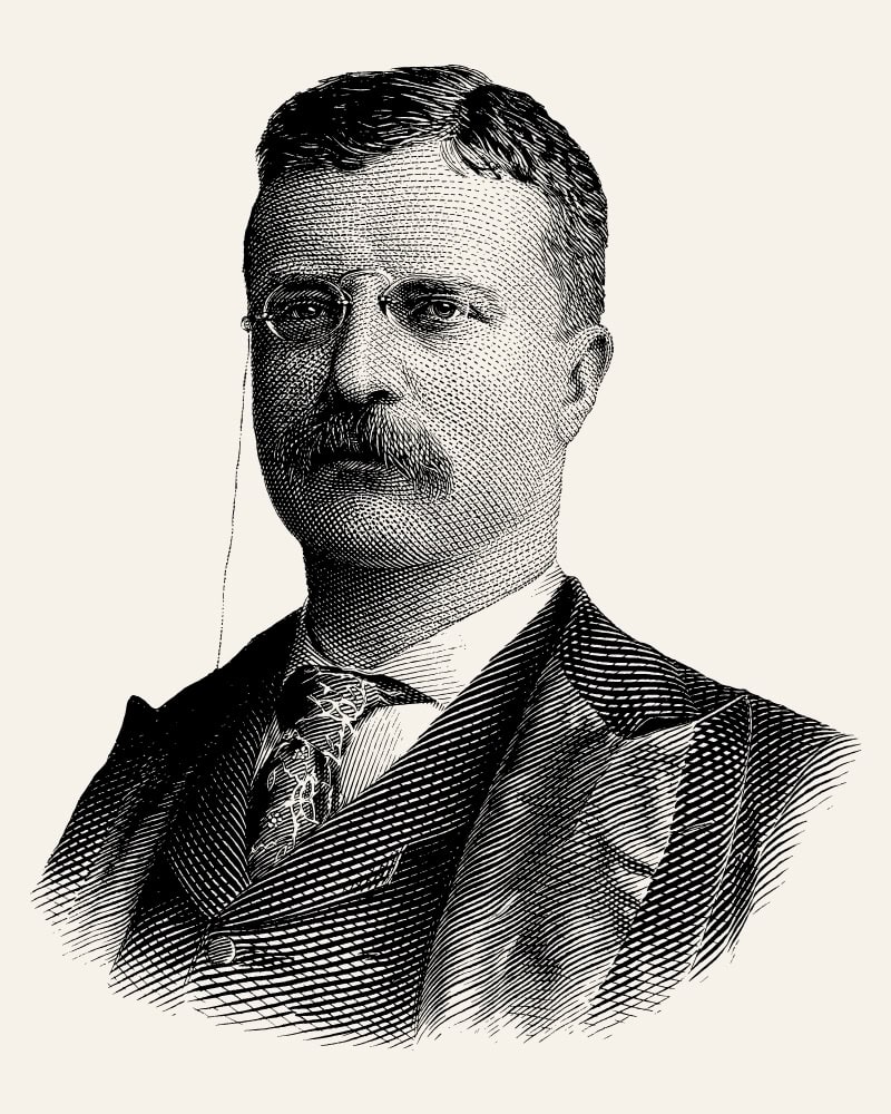 Theodore Roosevelt
