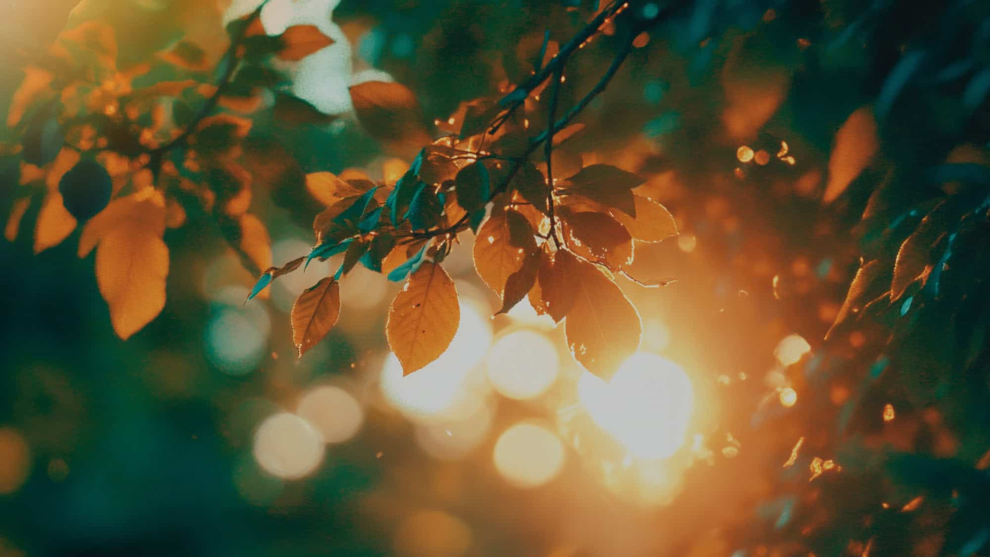 De psychologie van offline gaan: waarom stilte soms ongemakkelijk voelt