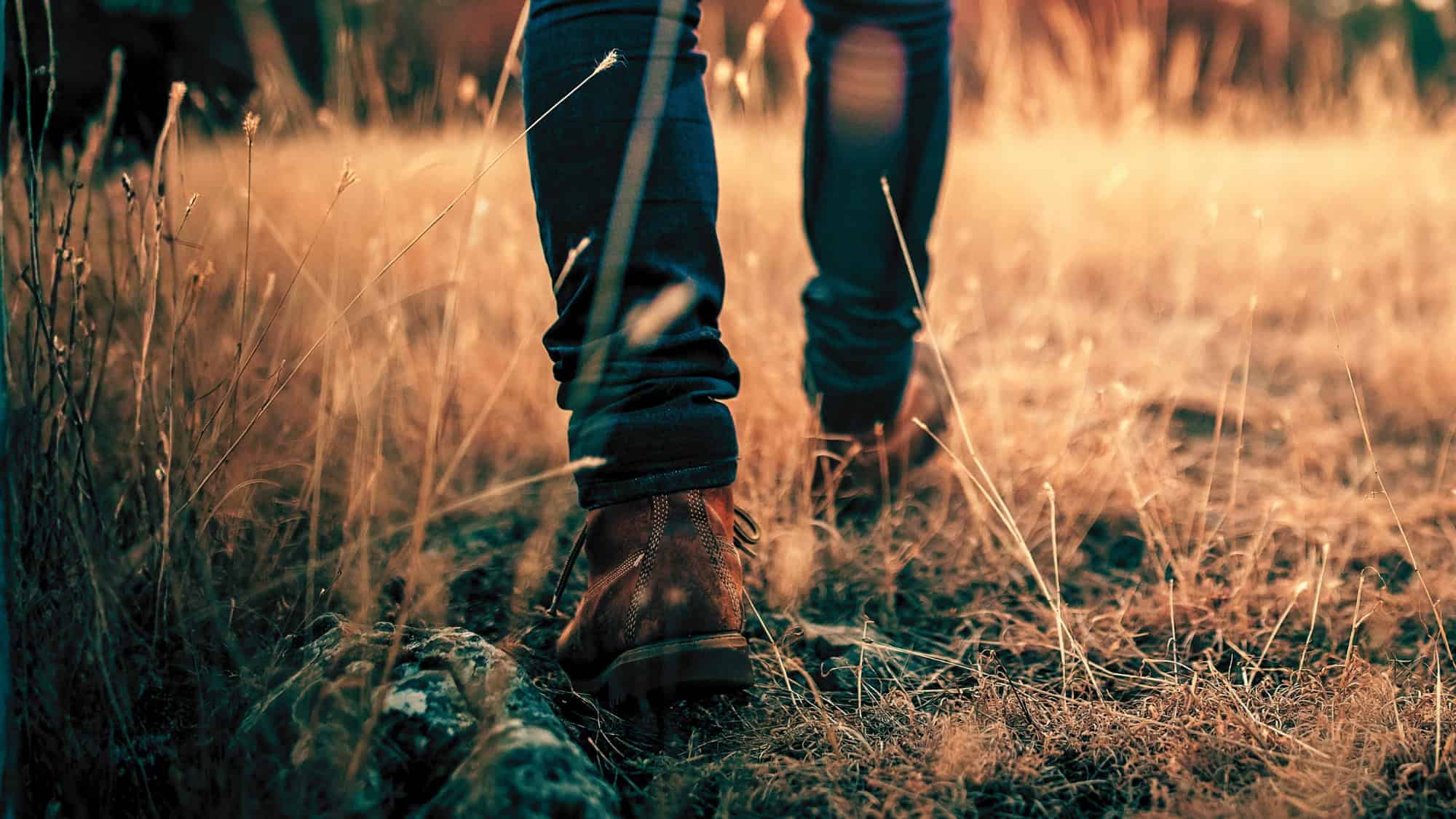 Leven zonder wifi: terug naar de basis in een digitale wereld