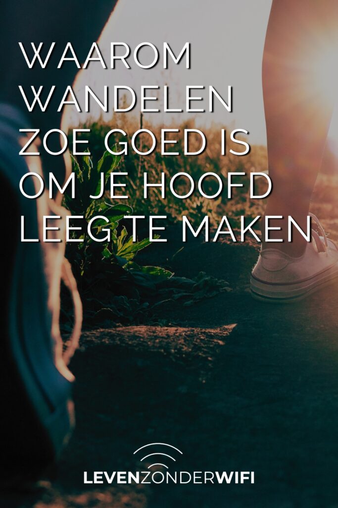 Waarom wandelen zo goed is om je hoofd leeg te maken Pinterest - wandelaars op een paadje door het gras