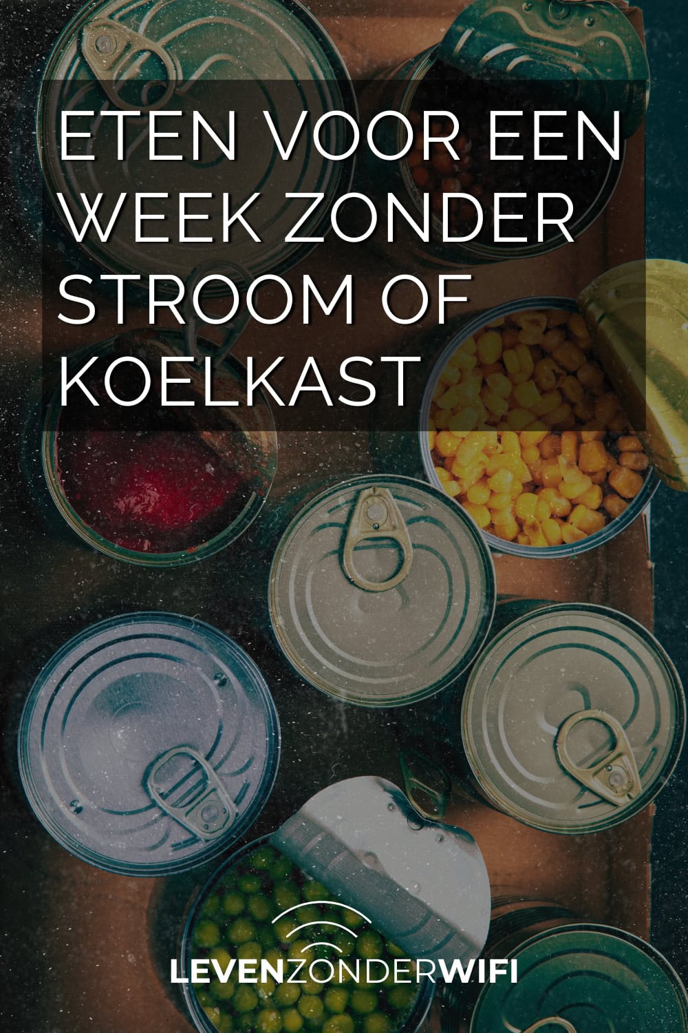 Basisvoorraad voor 4 personen eten voor een week zonder stroom of koelkast - een aantal dichte en geopende concervenblikken