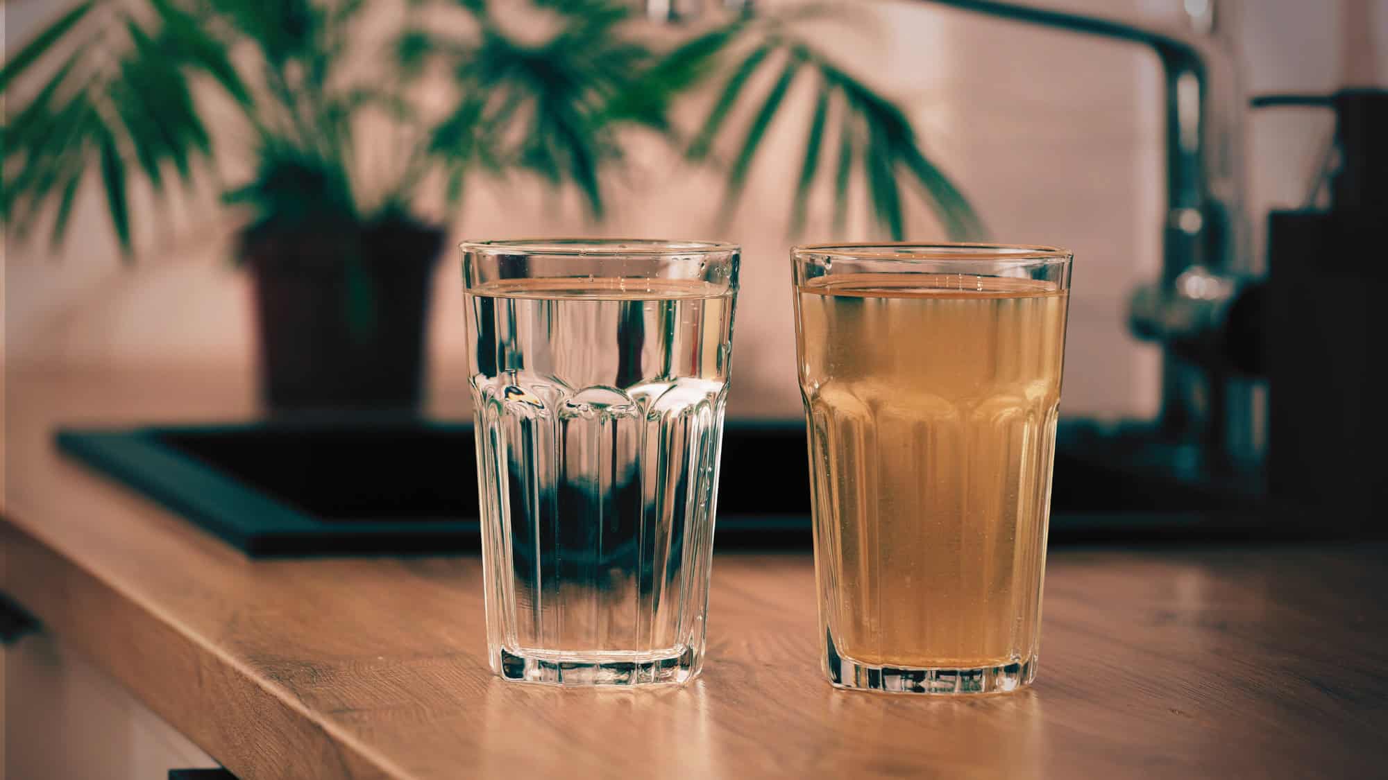 Top 5 beste waterfilters voor thuis van 2026